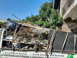 Best Carpet Removal and Disposal  in Johnson, AR